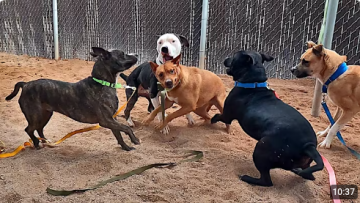 Screenshot 2025-10-11 7.27.25 PM