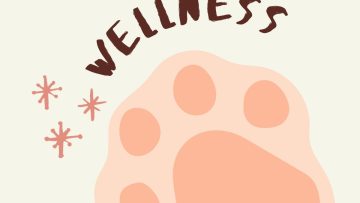 WhatsApp Image 2025-11-19 at 11.27.47 PM