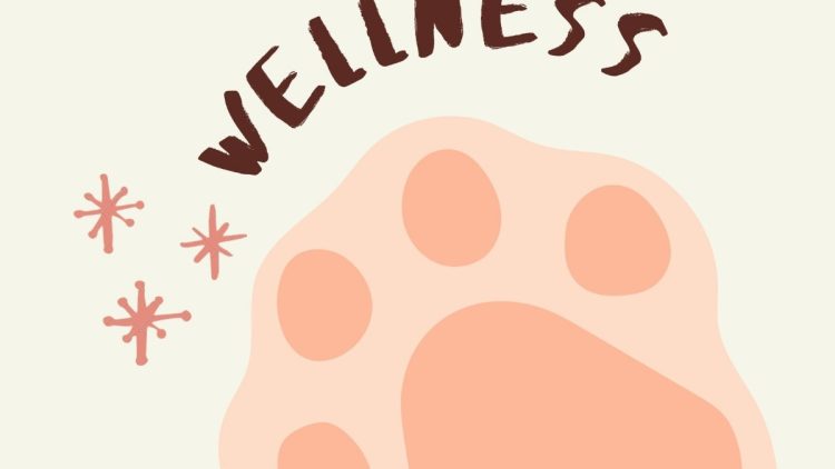 WhatsApp Image 2025-11-19 at 11.27.47 PM