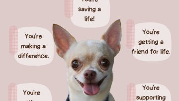 WhatsApp Image 2025-11-19 at 8.29.23 PM