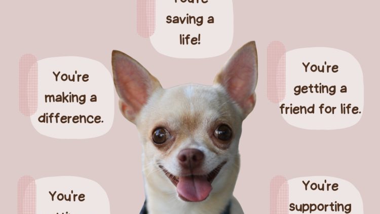 WhatsApp Image 2025-11-19 at 8.29.23 PM