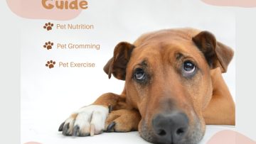 WhatsApp Image 2025-11-20 at 1.04.21 AM