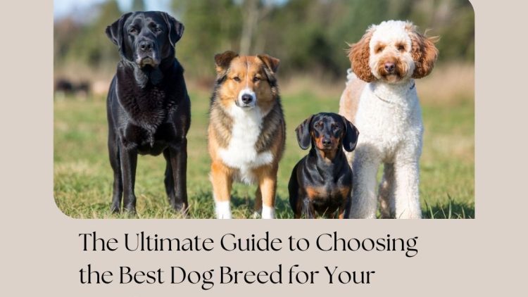 WhatsApp Image 2025-11-21 at 11.16.38 PM (1)