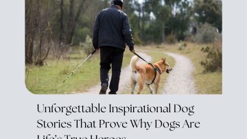 WhatsApp Image 2025-11-22 at 1.39.59 AM