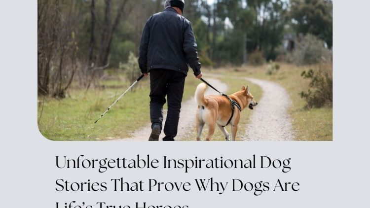 WhatsApp Image 2025-11-22 at 1.39.59 AM