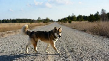 WhatsApp Image 2025-11-24 at 10.07.55 PM