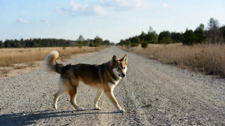 WhatsApp Image 2025-11-24 at 10.07.55 PM